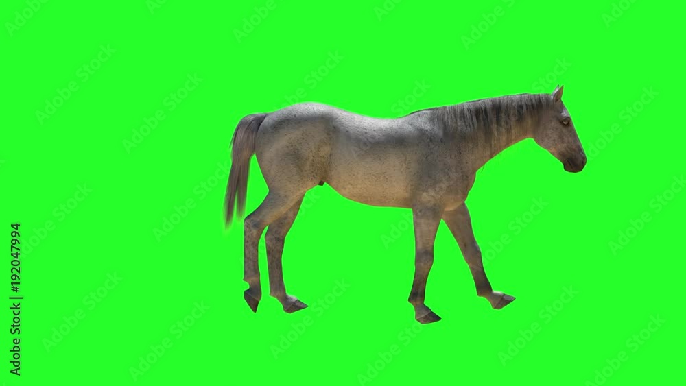 horse on a green background, 3D render horse on a green background, 3D render