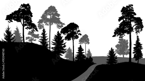 Forest path, exit from the forest. Trees silhouette vector, on white background. Isolated wood