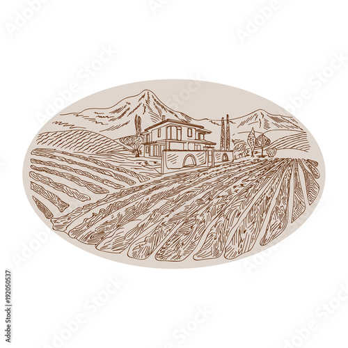 Hand drawn sketch for the label, wine label.