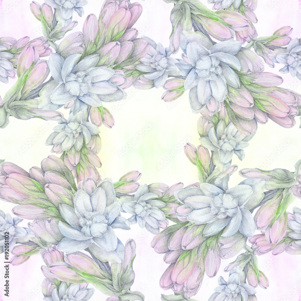 Tuberose - branches. Seamless pattern. medicinal, perfumery and cosmetic plants. Wallpaper.