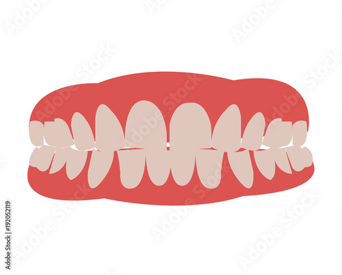 Gums and teeth illustration