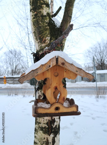 bird feeder on the birch
