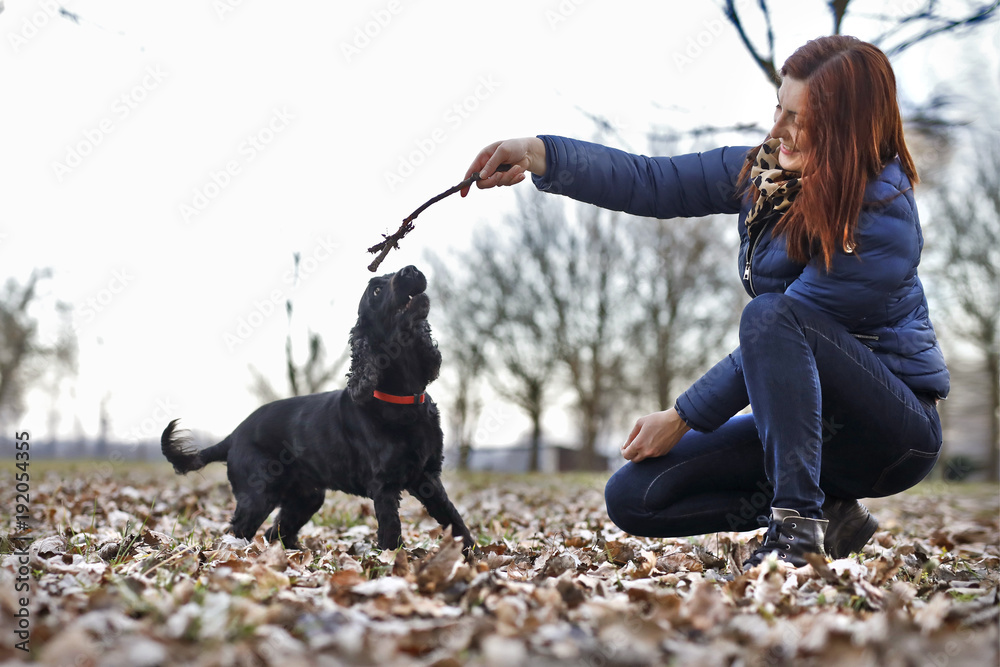 Girl playing with dog. Dog catches a stick. 