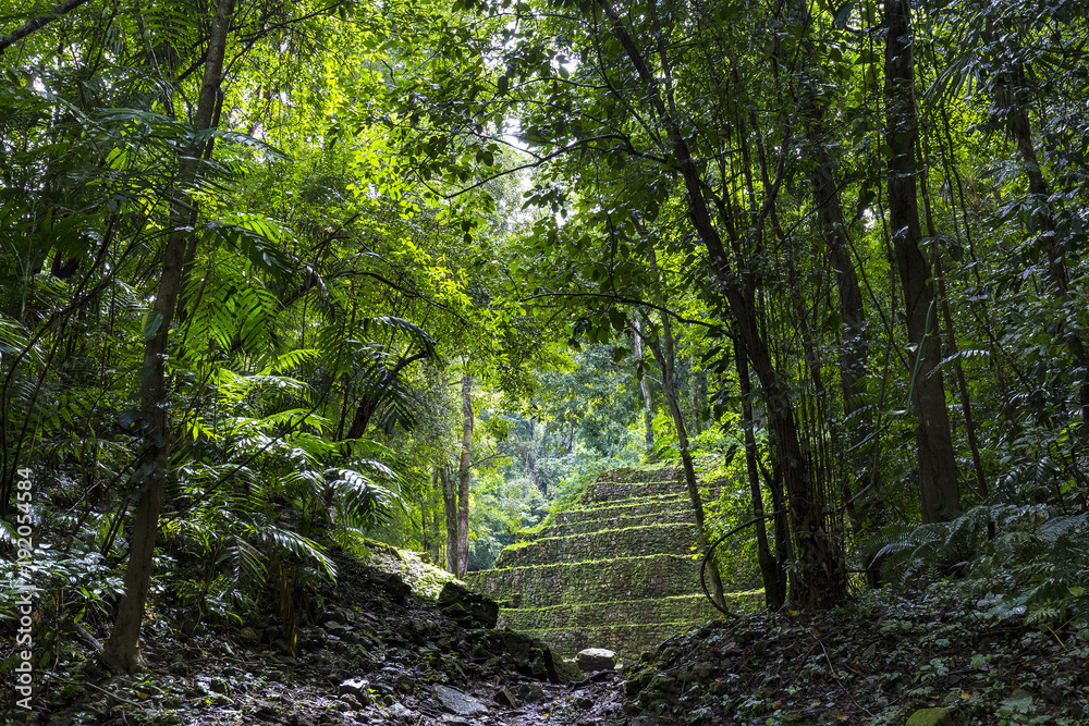 Mexico. The Yaxchilan Archaeological Park - entrance to the ancient city hidden in the Lacandon Jungle