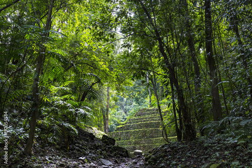 Obraz na płótnie Mexico. The Yaxchilan Archaeological Park - entrance to the ancient city hidden in the Lacandon Jungle w salonie