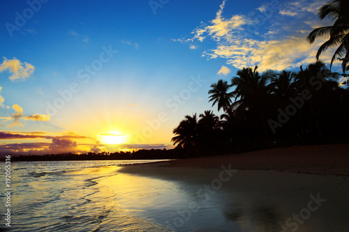 Tropical sunrise with coconut palm trees.