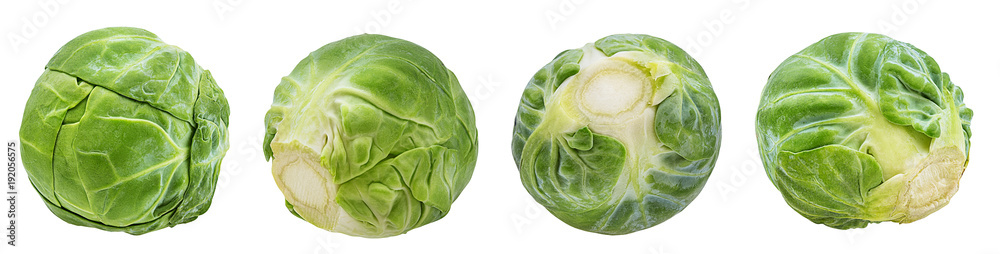 Fresh brussels sprout isolated on white background with clipping path
