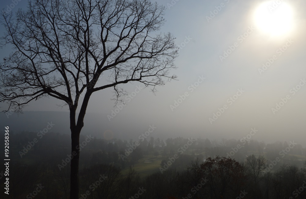 Weather Icon of a Misty Fog Morning With Sun Peeking Through a Rocky Terrain and Tree Landscape
