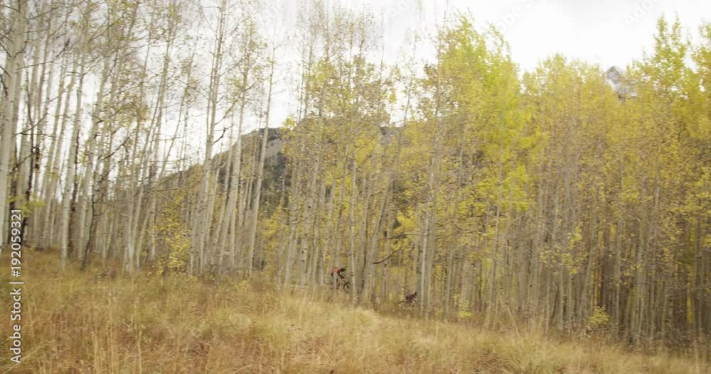 Pan right, cyclists in remote forest Pan right, cyclists in remote forest