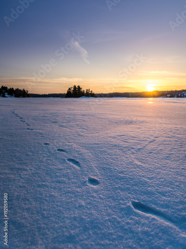 Frozen lake footsteps