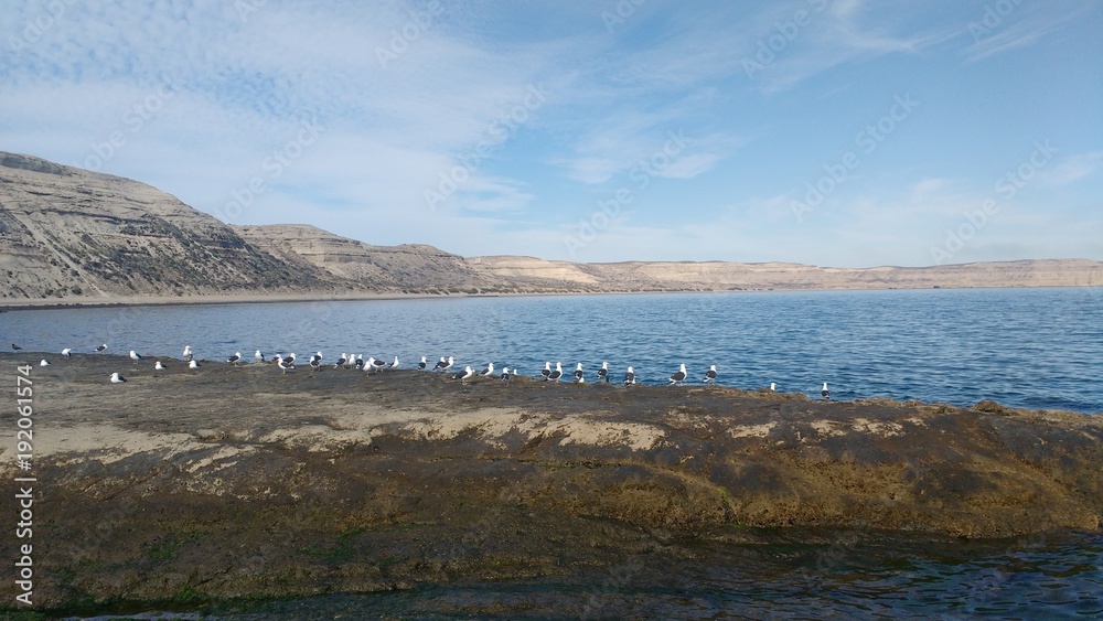 Puerto Pirámides, Península de Valdés - Argentina