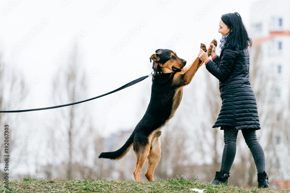 Young active black haired girl in down jacket playing with her lovely dog outdoor. Cheerful happy female have fun and training  puppy with stick. Cute woman dancing with purebred pet. Walk the big dog