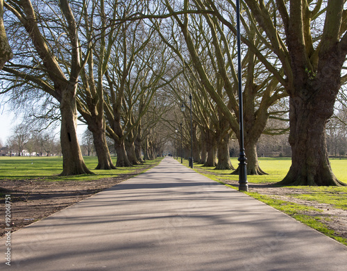 Tree lined footpath between Midsummer common and Jesus Green Cambridge, UK