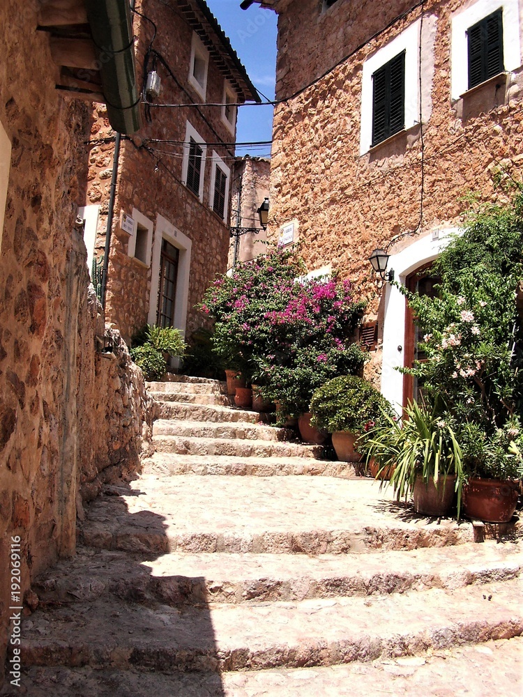 Fototapeta premium Narrow cobble stone street with plants in Fornalutx
