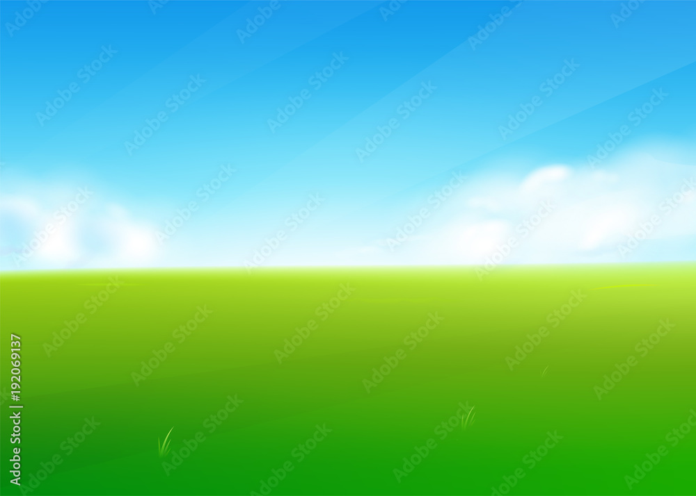 Spring field nature background with green grass landscape, clouds, sky