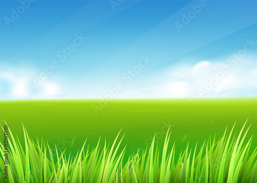 Meadow field. Summer or spring nature background with green grass landscape