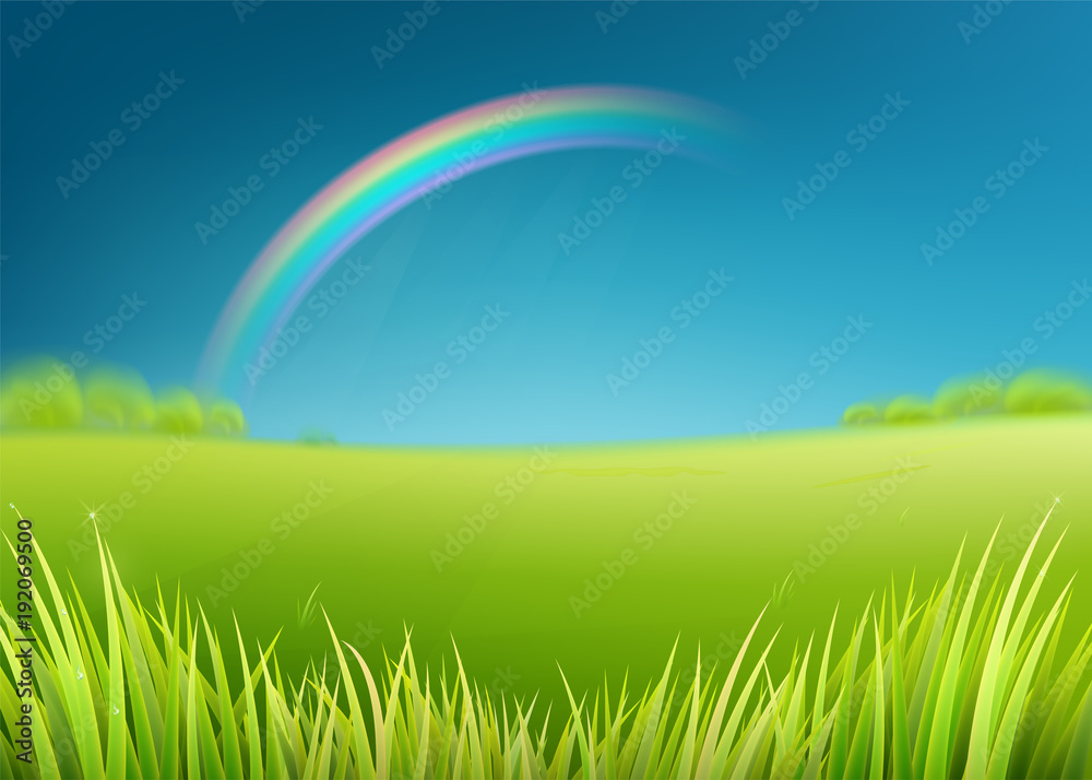 Summer meadow field with rainbow after rain. Nature background with green grass