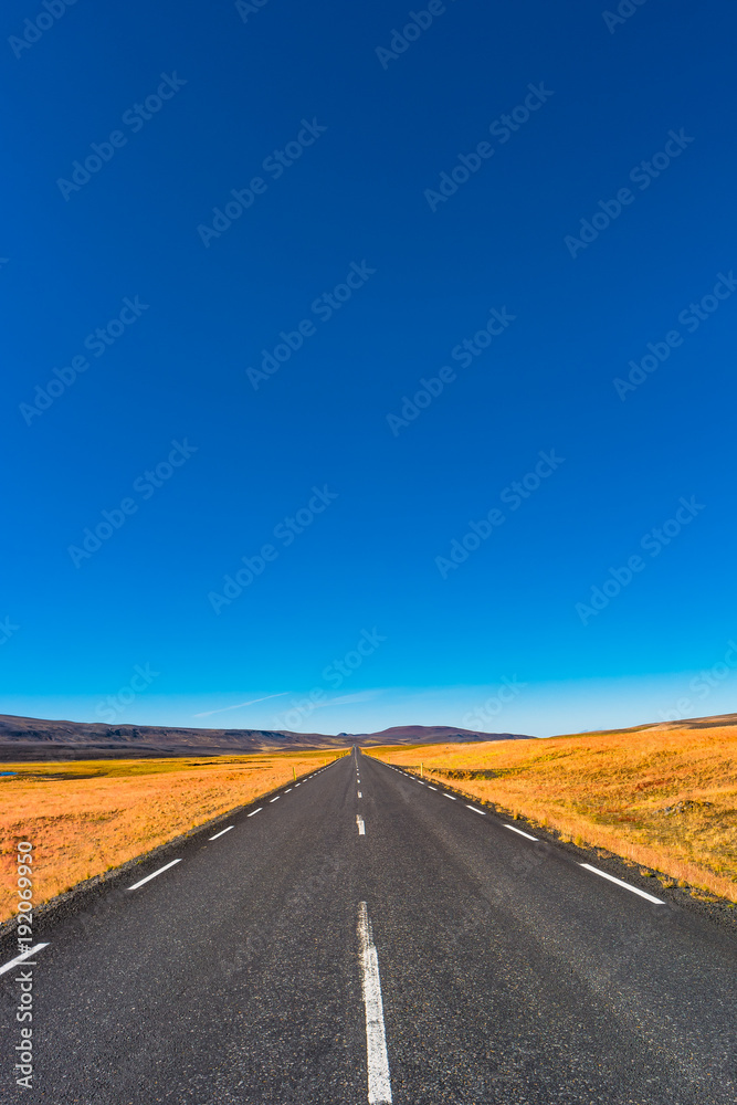 Naklejka premium Isolated road and Icelandic colorful landscape at Iceland,