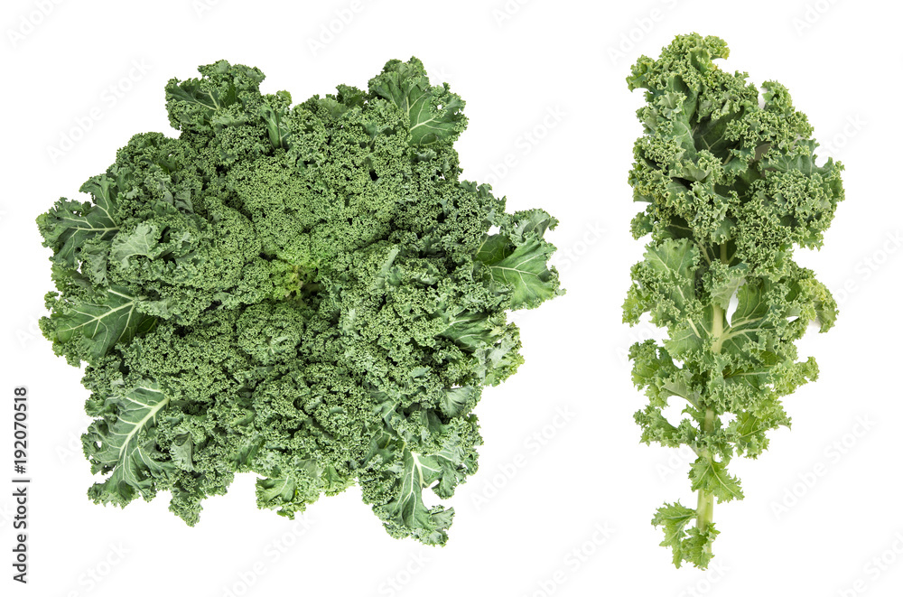 Kale cabbage Green vegetable leaf Healthy eating Super foods Kale cabbage Green vegetable leaf Healthy eating Super foods