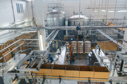 milk and cheese production plant