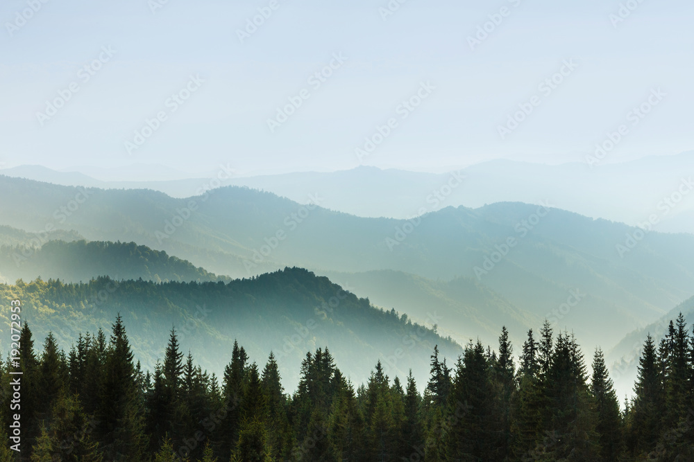 Majestic landscape of summer mountains. A view of the misty slopes of the mountains in the distance. Morning misty coniferous forest hills in fog and rays of sunlight. Travel background.