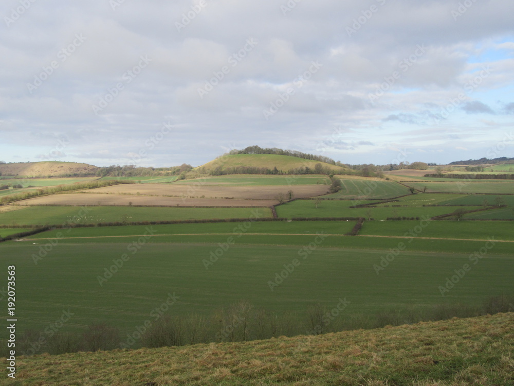 Wiltshire rural landscape