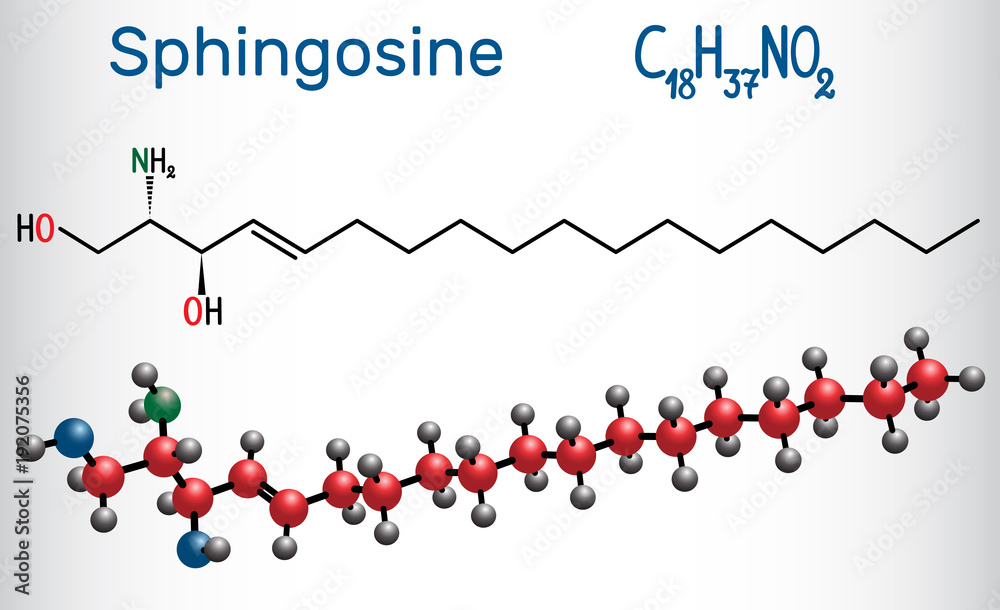 Sphingosine molecule . It is an amino alcohol , forms a primary part of sphingolipids. Structural chemical formula and molecule model Sphingosine molecule . It is an amino alcohol , forms a primary part of sphingolipids. Structural chemical formula and molecule model