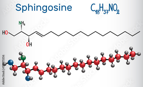 Sphingosine molecule .  It is an amino alcohol , forms a primary part of sphingolipids. Structural chemical formula and molecule model