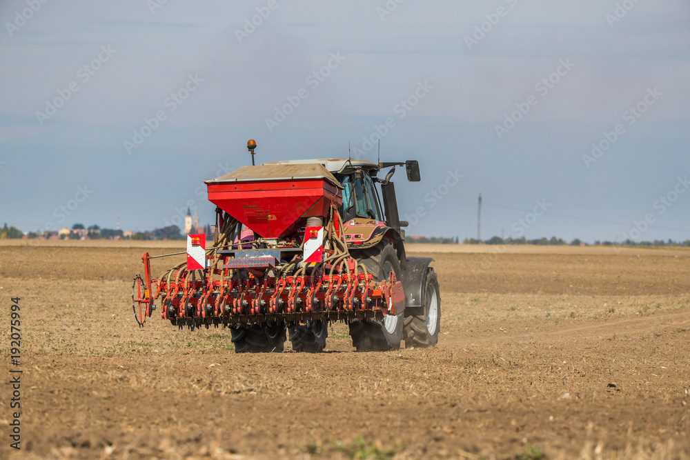 Fototapeta premium Farmer seeding, sowing crops at field. Sowing is the process of planting seeds in the ground as part of the early spring time agricultural activities.