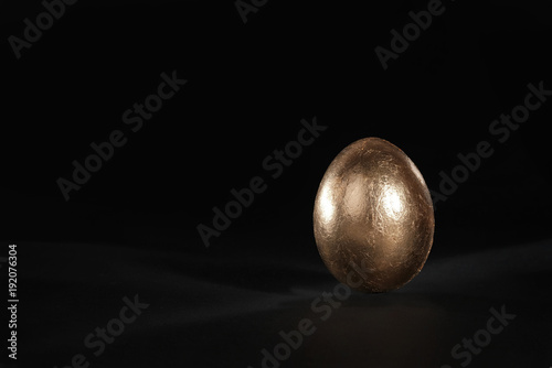 Golden egg on a black background. A symbol of making money and successful investment