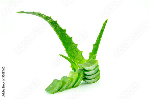 Slice Aloe Vera Aloe barbadensis Mill.,Star cactus, Aloe, Aloin, Jafferabad or Barbados a very useful herbal medicine for skin care and hair care.
