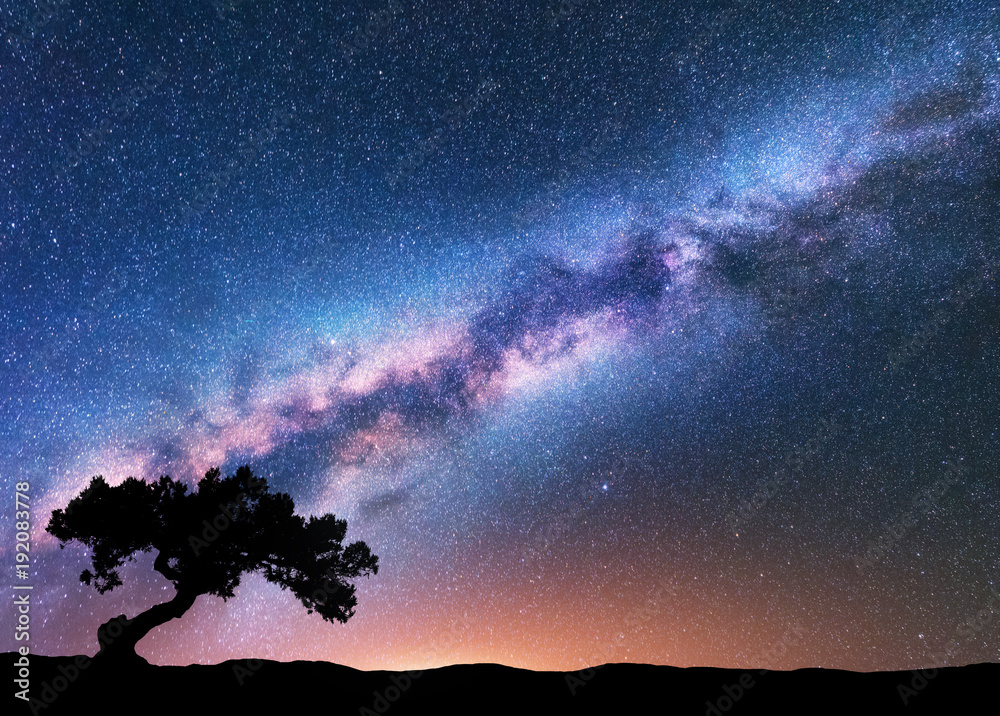 Milky Way with alone old crooked tree on the hill. Colorful night landscape with bright milky way, starry sky, tree, yellow light in summer. Space background. Galaxy. Beautiful universe. Travel - obrazy, fototapety, plakaty 
