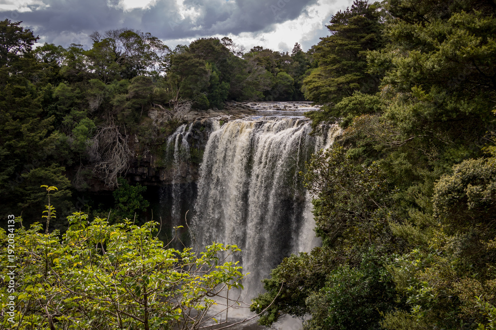 Native New Zealand Bush And Waterfall 