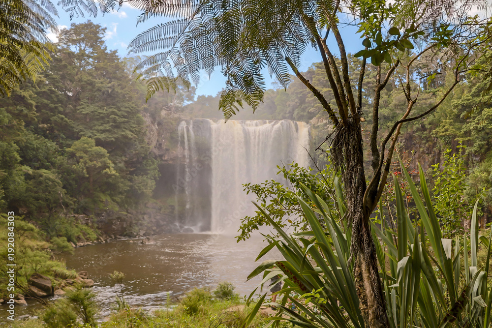 Lush New Zealand Bush Lands With Kerikeri Waterfall In Background 