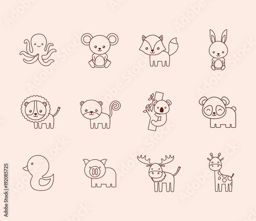 Cute animals design