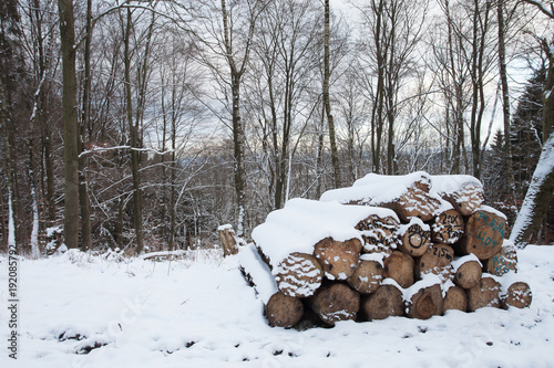 Holzstapel im Winter