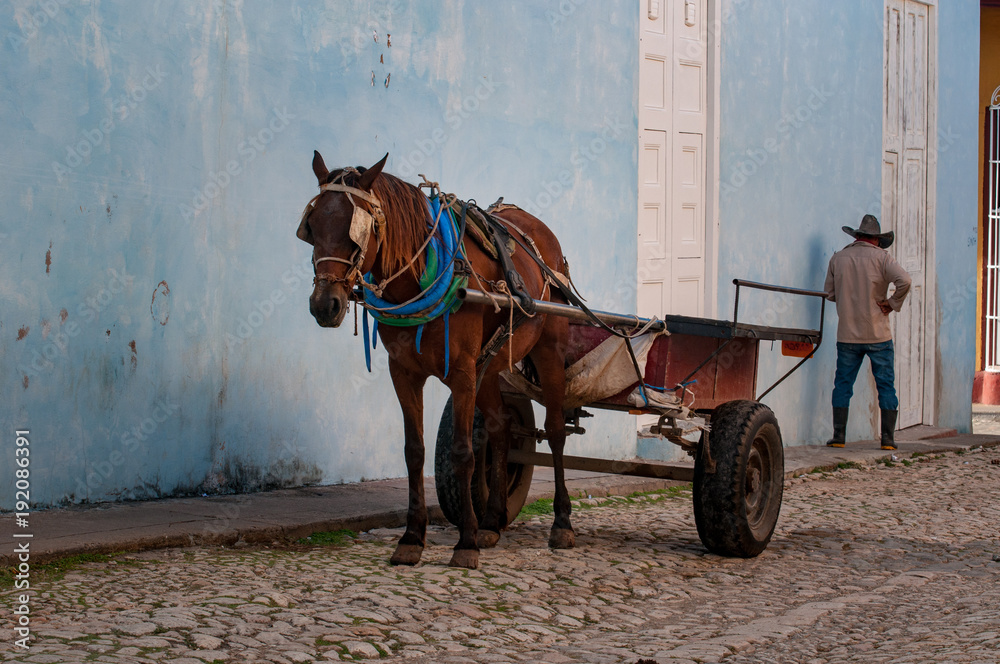 Barrow in Trinidad