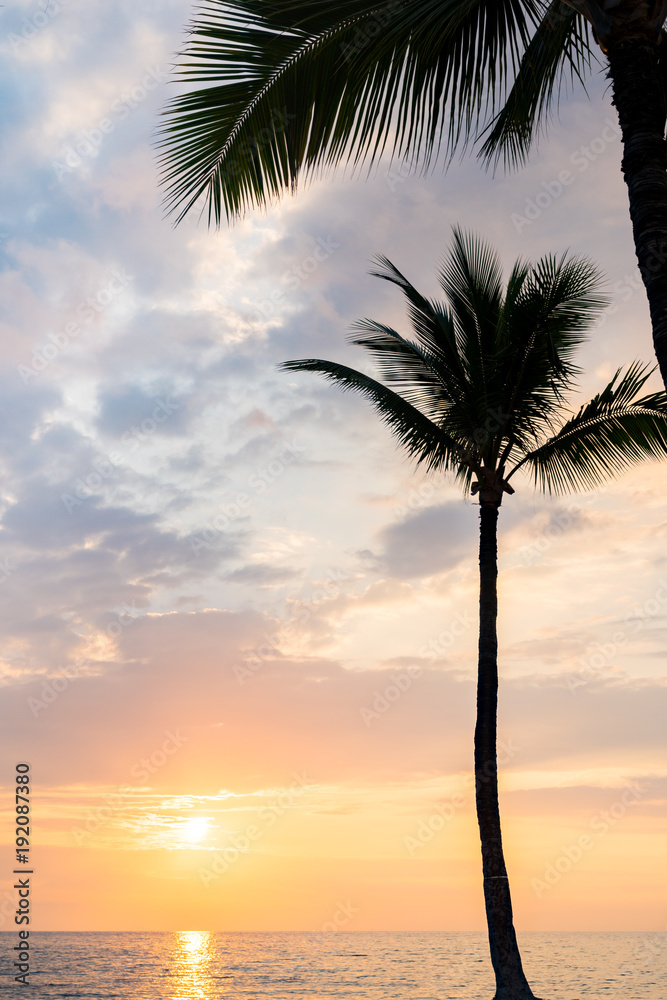 Tranquil Sunset ©2017 Ranae Keane-Bamsey Photography www.EMotionGalleries.com Tranquil Sunset ©2017 Ranae Keane-Bamsey Photography www.EMotionGalleries.com