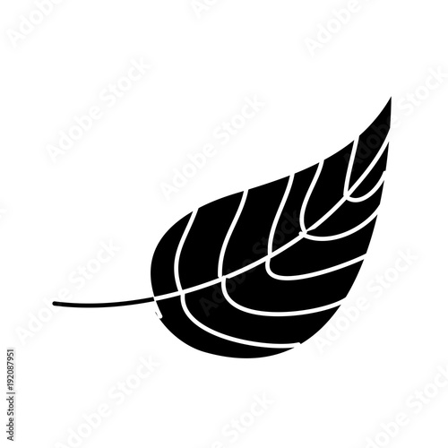 autumn leaf foliage natural icon vector illustration black and white design