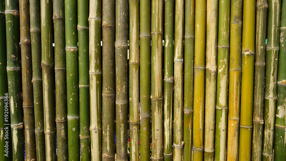 bamboo wall background texture pattern brown nature garden house wallpaper line Stock Photo | Adobe Stock bamboo wall background texture pattern brown nature garden house wallpaper line Stock Photo | Adobe Stock