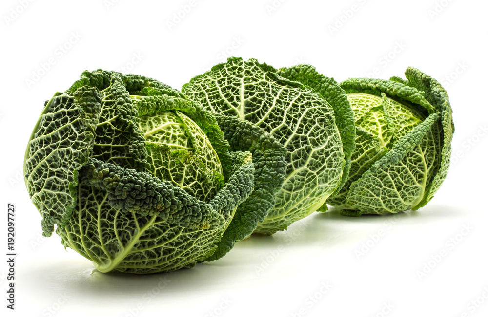 Fototapeta premium Three savoy cabbages isolated on white background fresh green heads in row.
