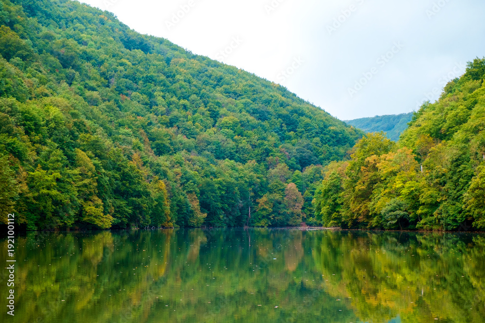 Forest lake Hamori-Hungary