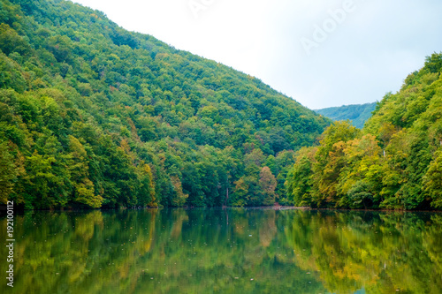 Forest lake Hamori-Hungary