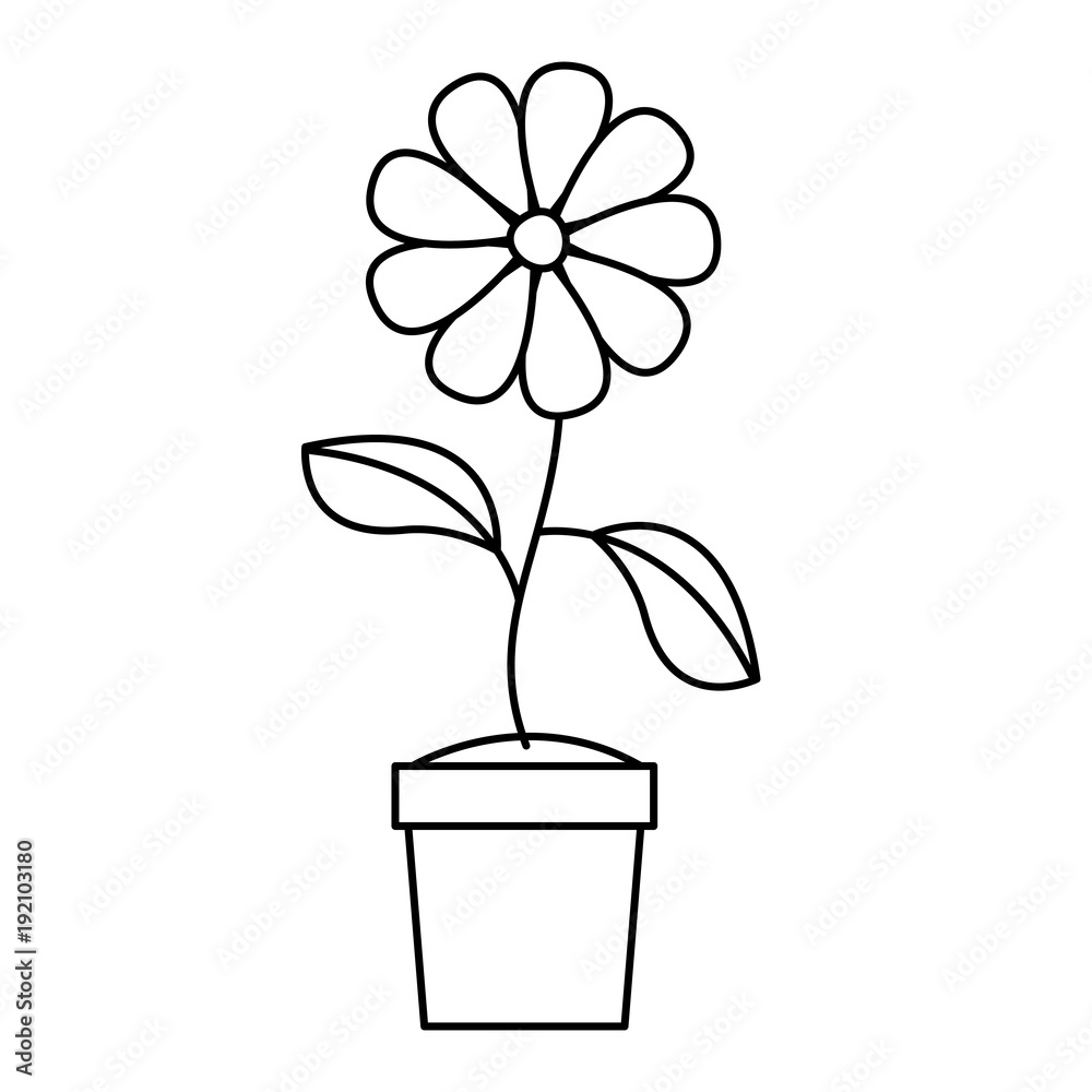 flower in pot floral decoration vector illustration design