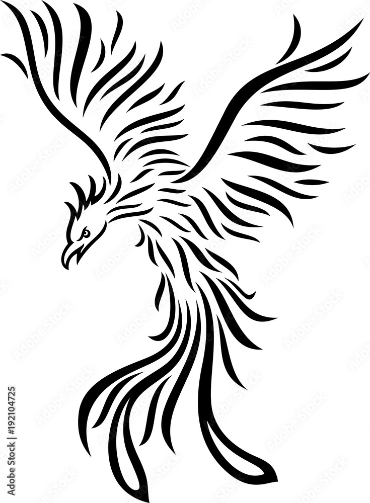 Phoenix tattoo isolated on white background Phoenix tattoo isolated on white background