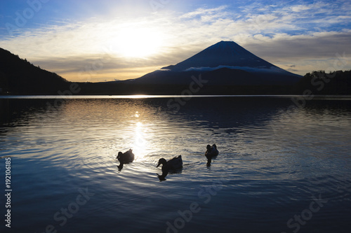 富士山・朝の遊泳（精進湖）