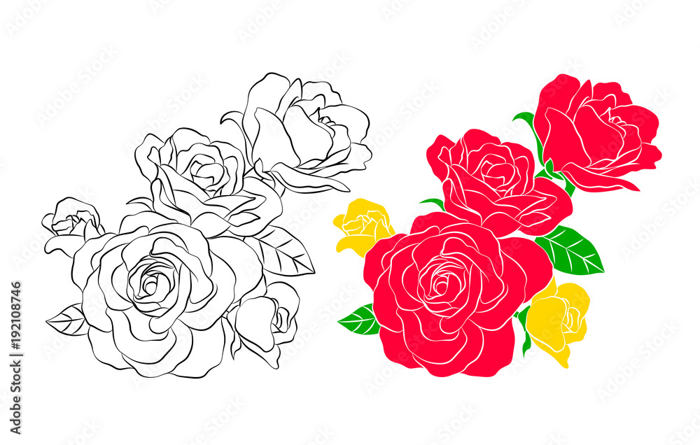 Bouquet of roses. Silhouette of color and black outline. Vector illustration isolated on white background. Happy Valentine's day.