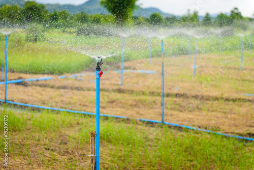 Water sprinkler in farm