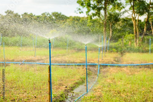 Water sprinkler in farm