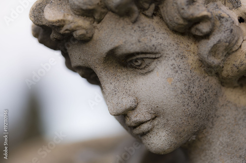 Stylized Image of the Side View of a Serene Statuary Face, Against Out of Focus Background